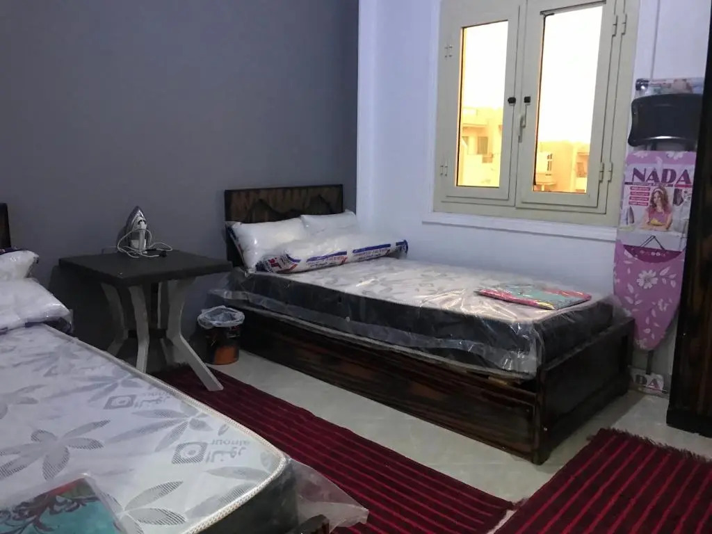 القاهرة
