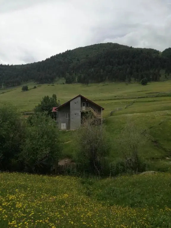 Lias Guest house Tsvirmi