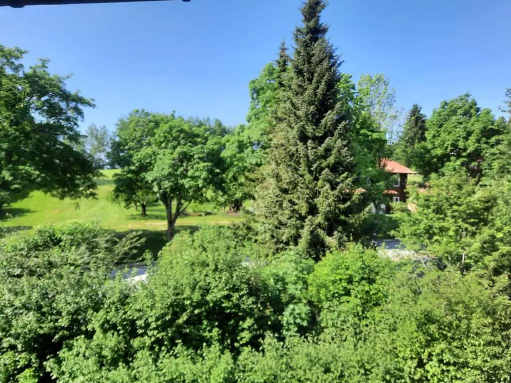 Chrysantihof Zwiesel - Apartment 231