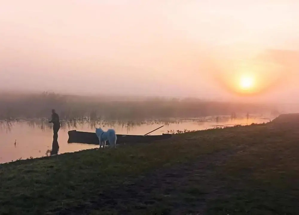 Countryside Escape With Sauna