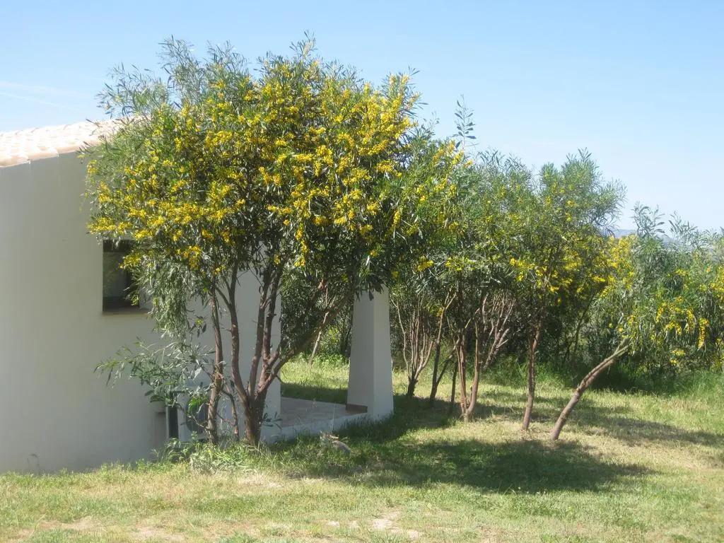 Borgo Alba Barona Turismo Rurale
