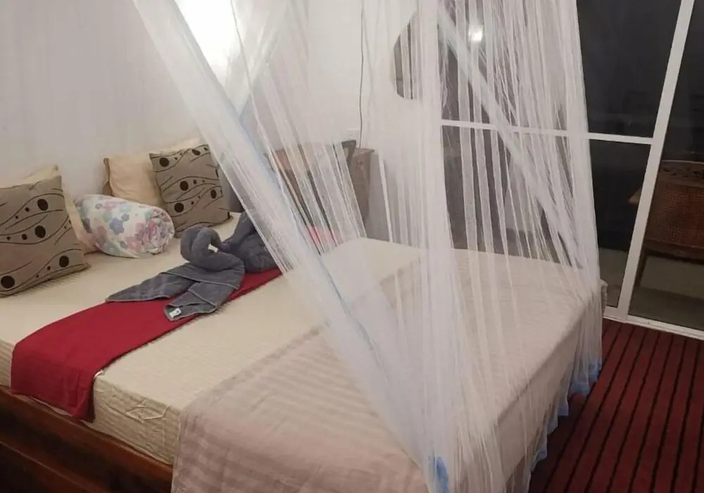 Ella Aura Breeze