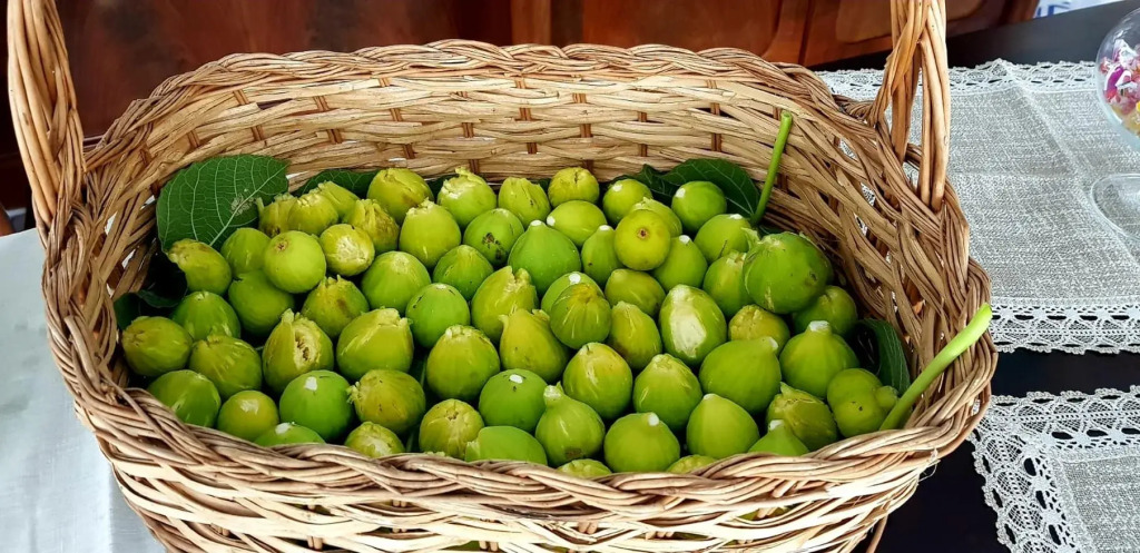 Myrtus Agropoli