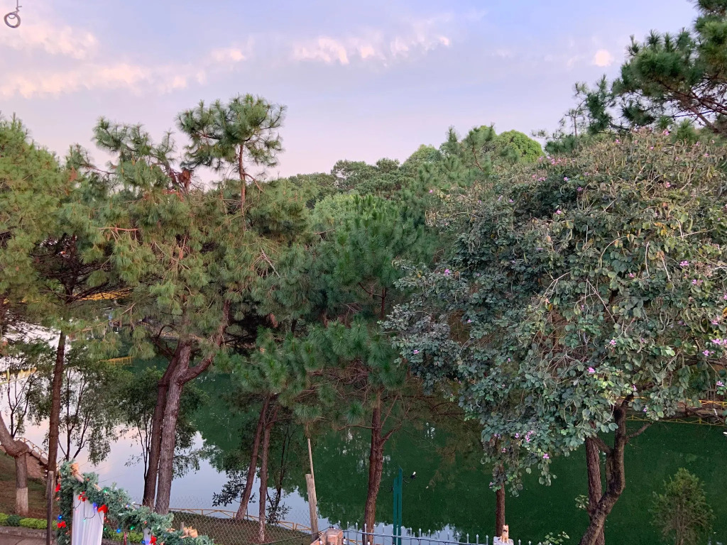 Lake view homestay