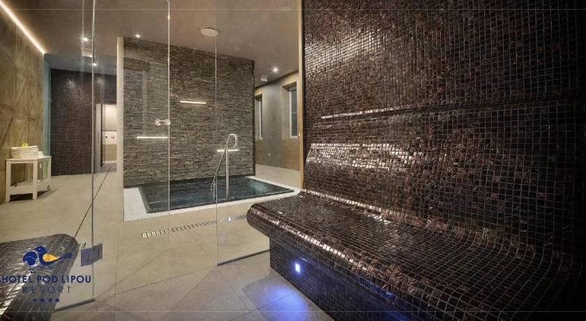 Hotel pod Lipou RESORT