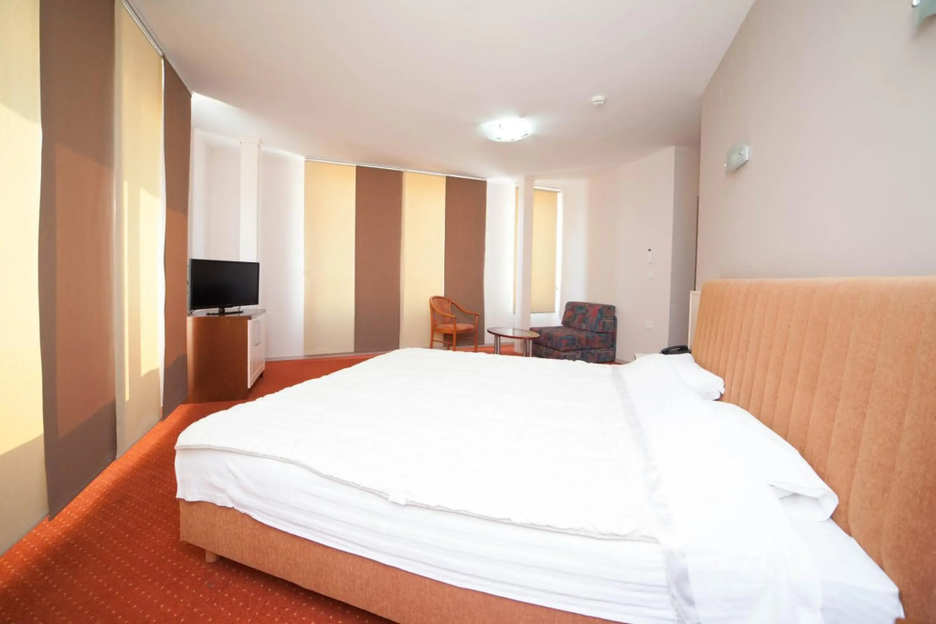 Hotel Lebed