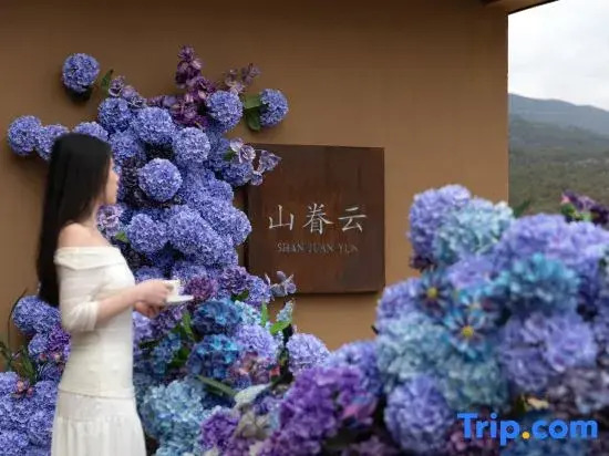 ShanJuanYun Panoramic Sunlit Yulong Snow Mountain Hotel Near Shuhe Ancient Town Near Baisha Ancient Town One free round-trip shuttle ride to the scenic area Brunch Free self-service laundry A quiet environment