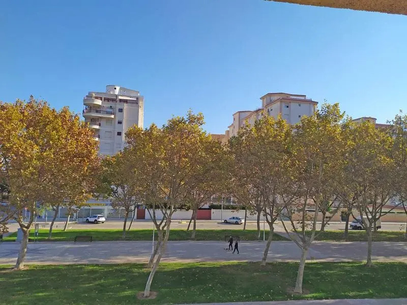 Gandia Beach 3000