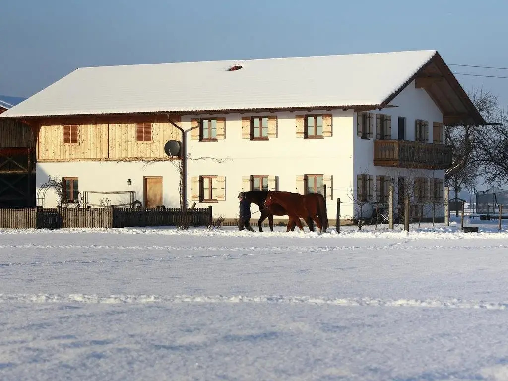 Springerhof