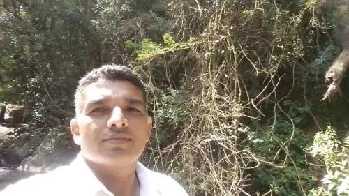 Tea Garden Home Stay