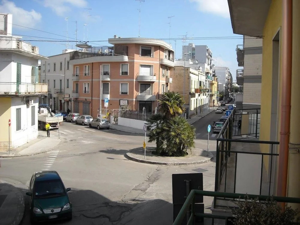 Il Trampoliere