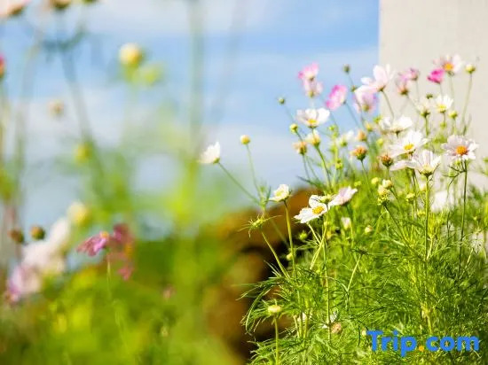 Pingtan Elysea Estate · Sea View Resort Homestay