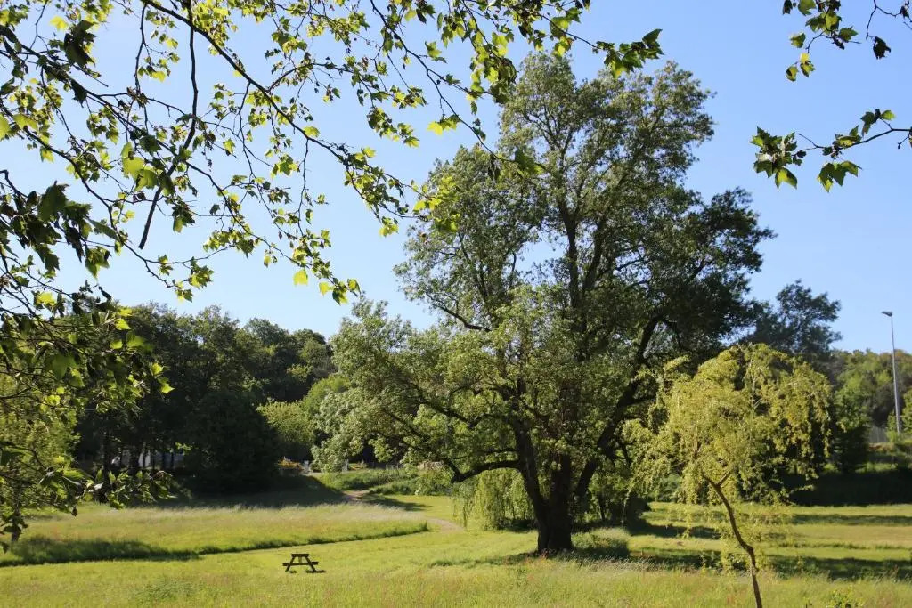 Bulle de campagne à Saint Benoit la Forêt
