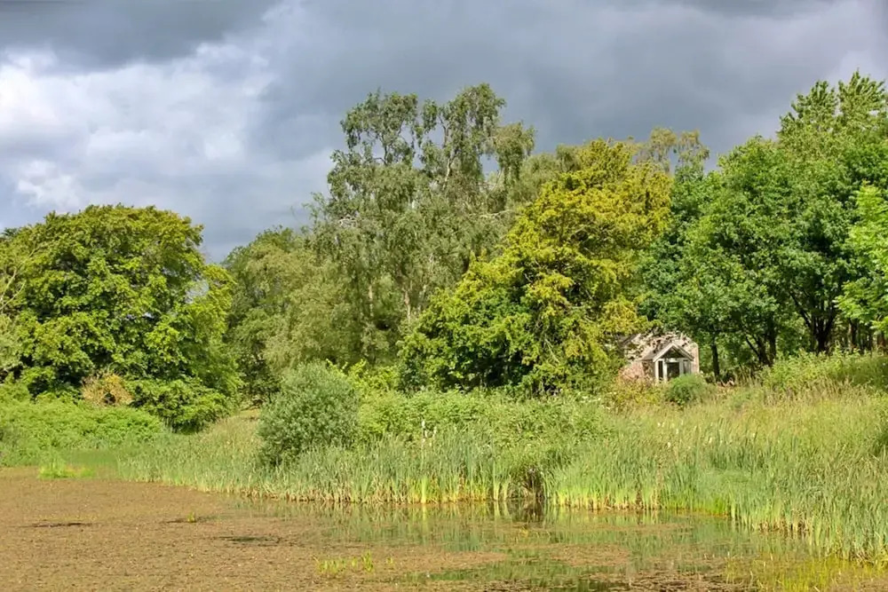 Pet-friendly Cottage in Belsay, No Deposit