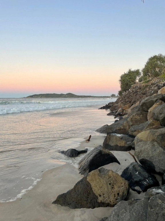 Lily Pad at Byron Bay