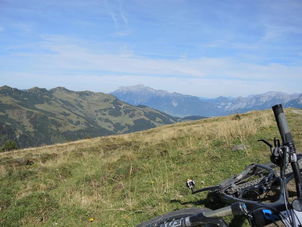 Haus Dachstein Schnitzer
