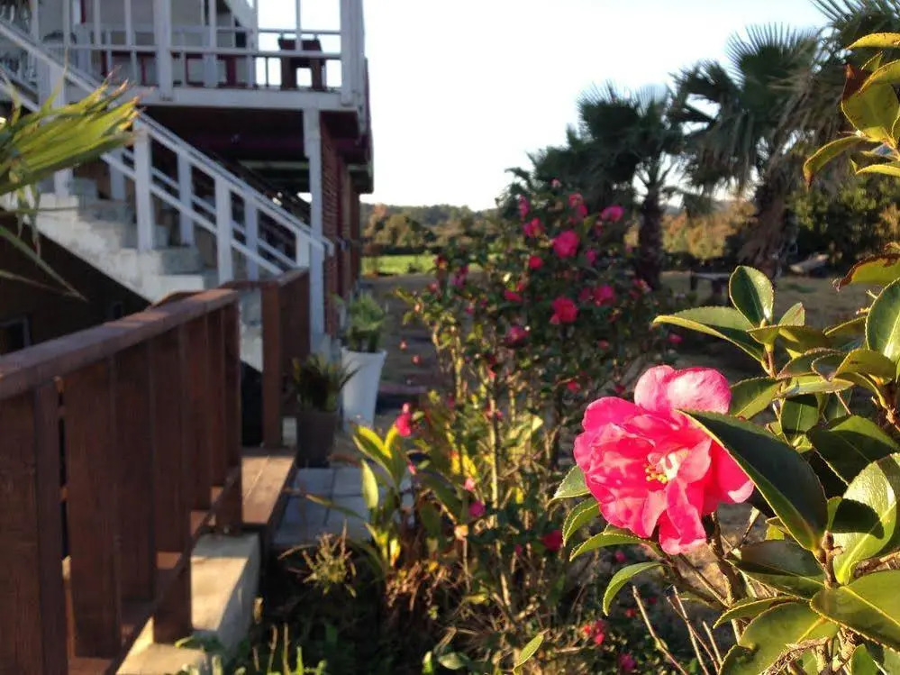 Clover B&B