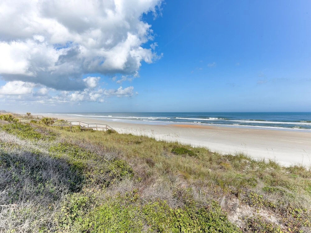 Ocean Delight