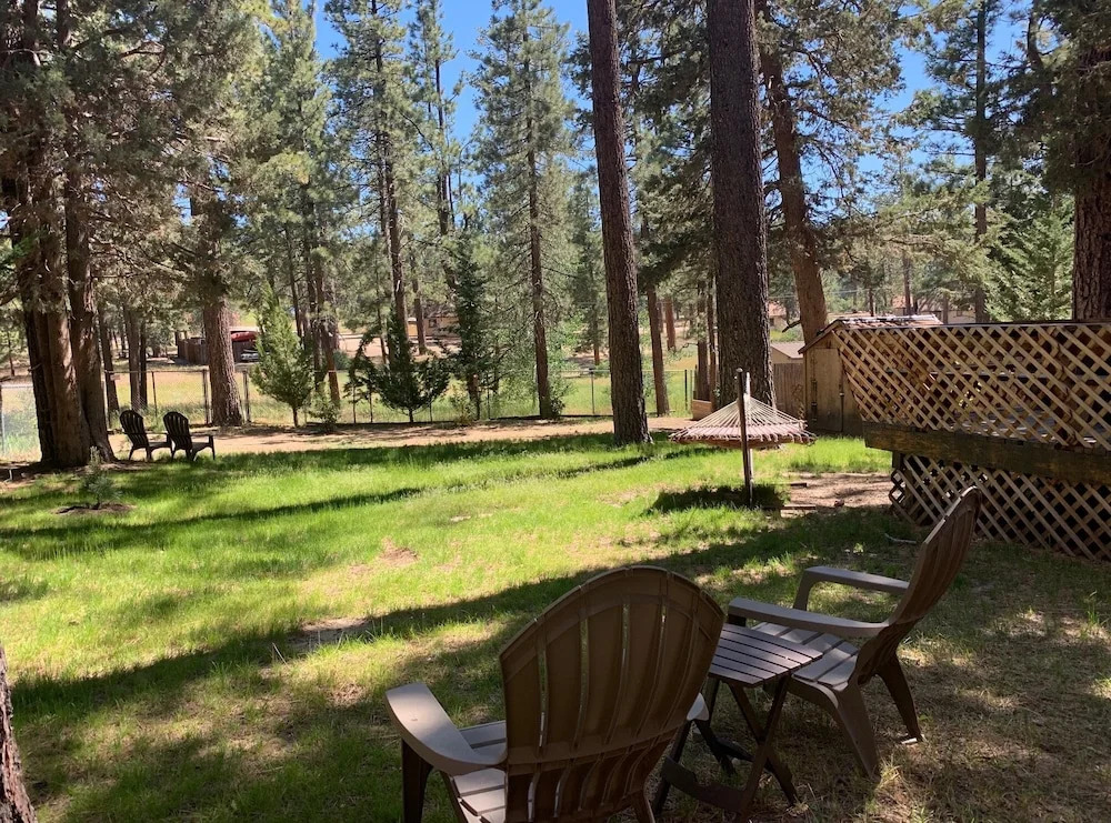 Little Big Pine