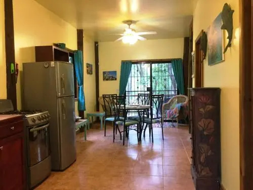Tortuga Bahia Lower Unit