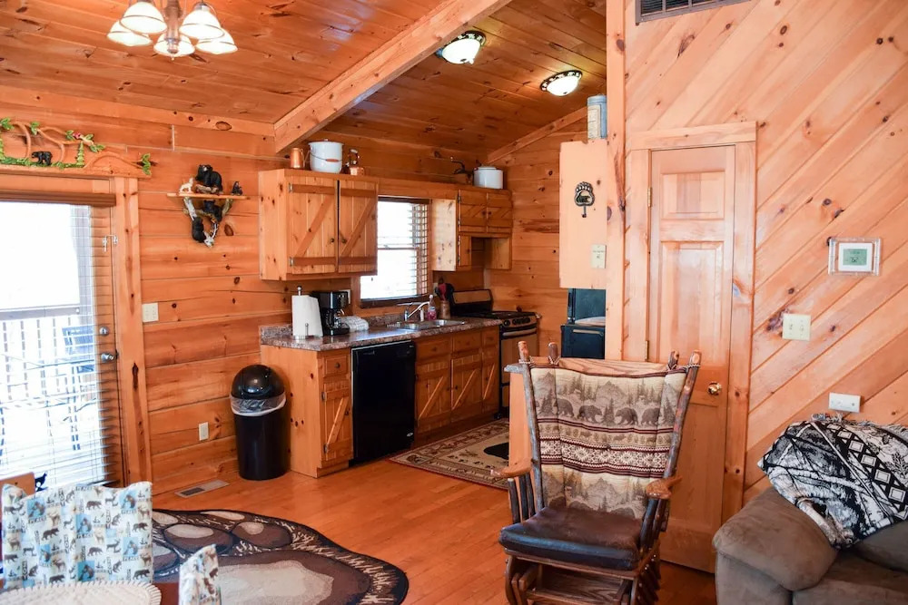 BEAR HINEY HANGOUT - 2 Br Cabin