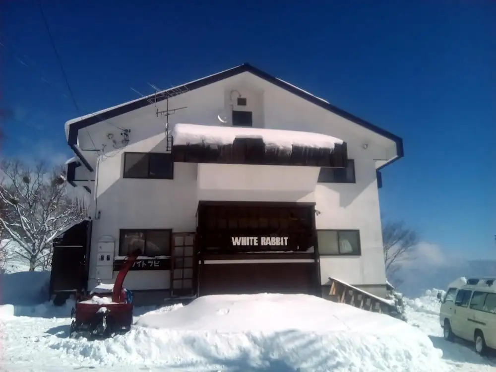 White Rabbit Madarao