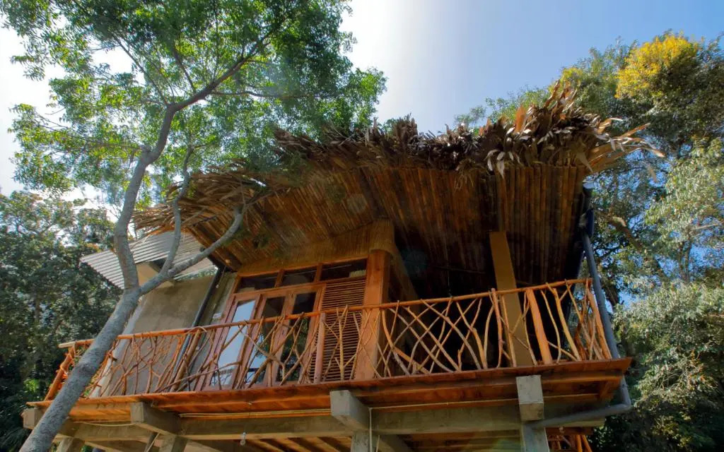 The Winsome & Tree House