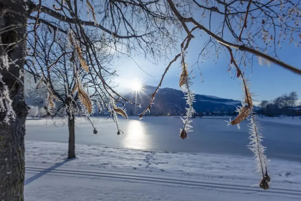Luxury Chalet With Private Sauna in Uttendorf
