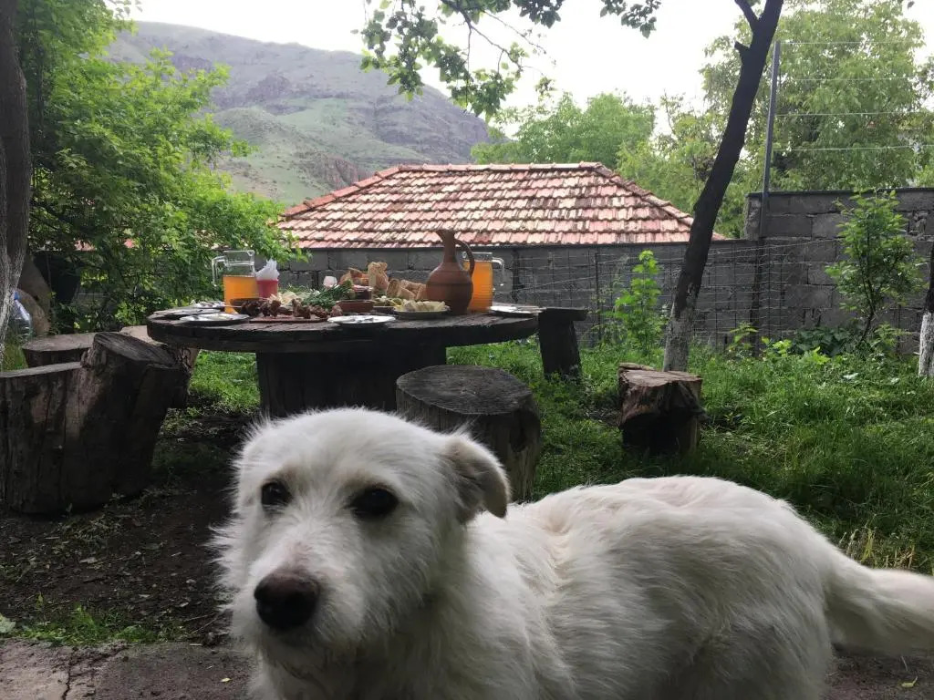 Hotel-GVALA