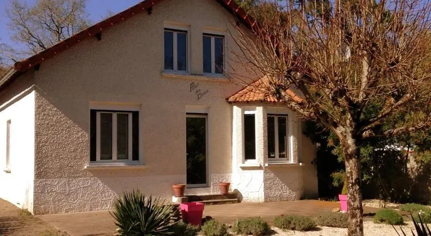 Fleur des Dunes