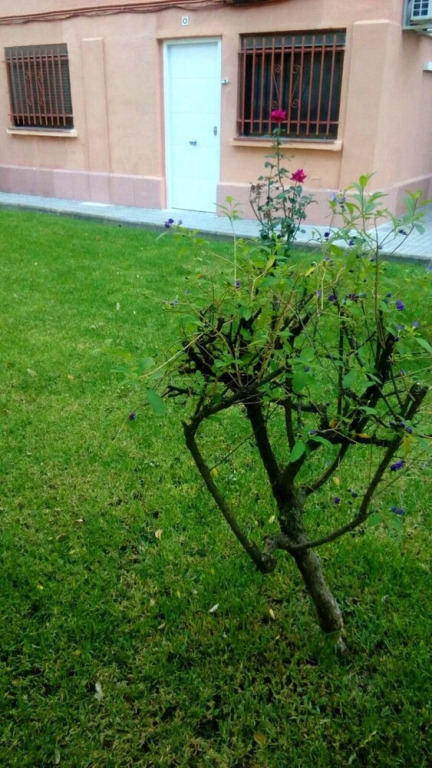 Apartment With 2 Bedrooms in Salou, With Pool Access