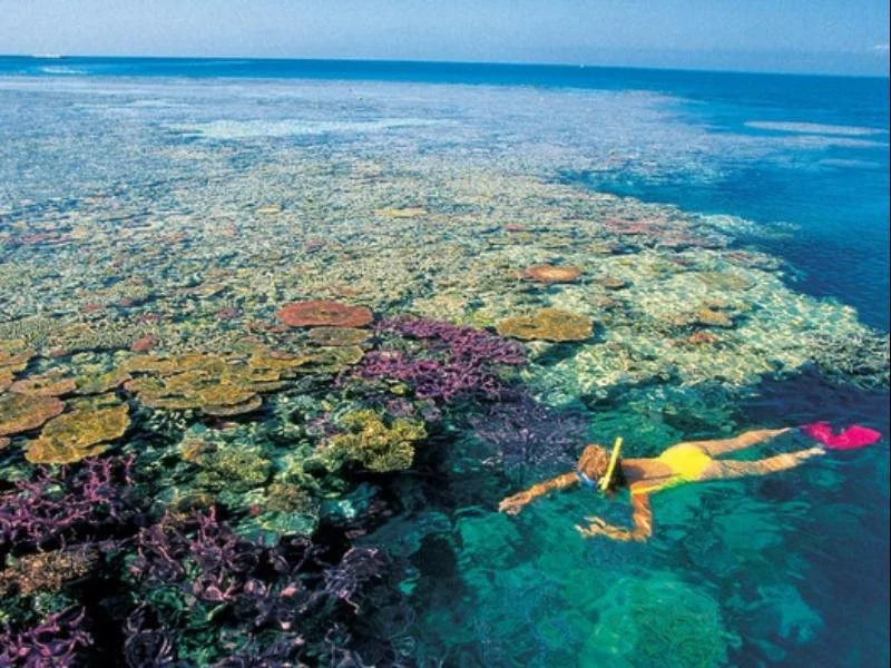 Mediterranean Resorts