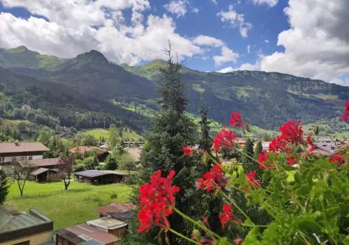 Ferienhaus Birgit - inklusive Eintritt Alpentherme Bad Hofgastein