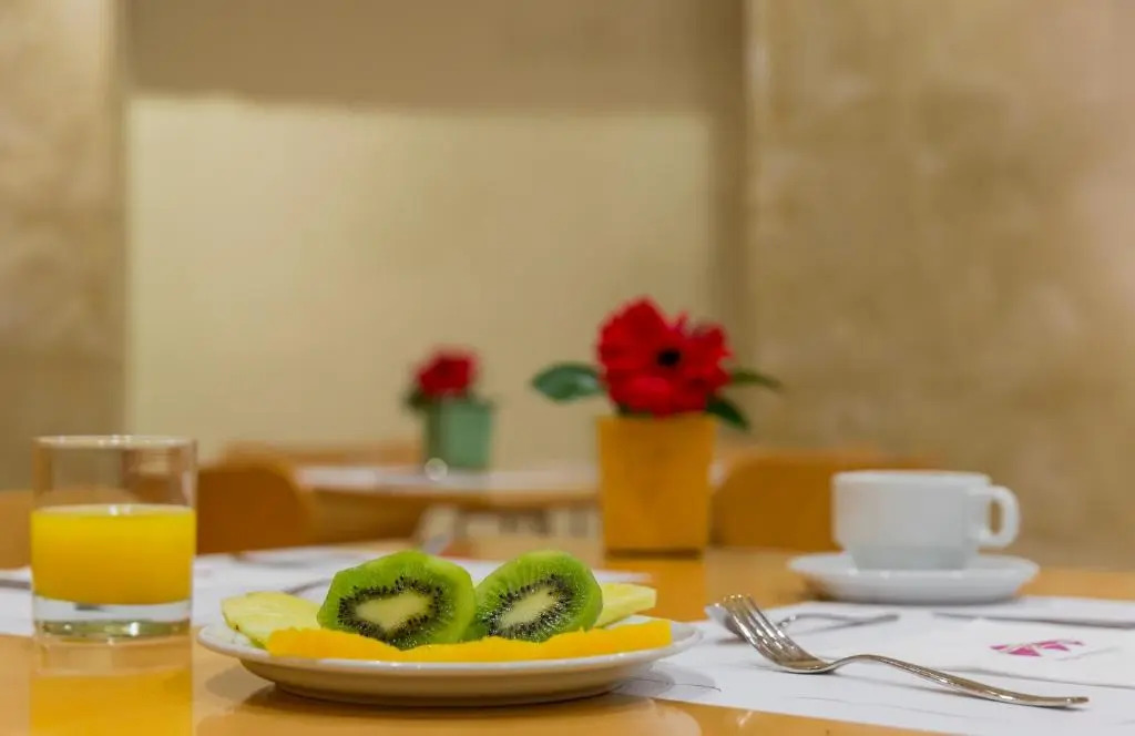Hotel Macià Plaza