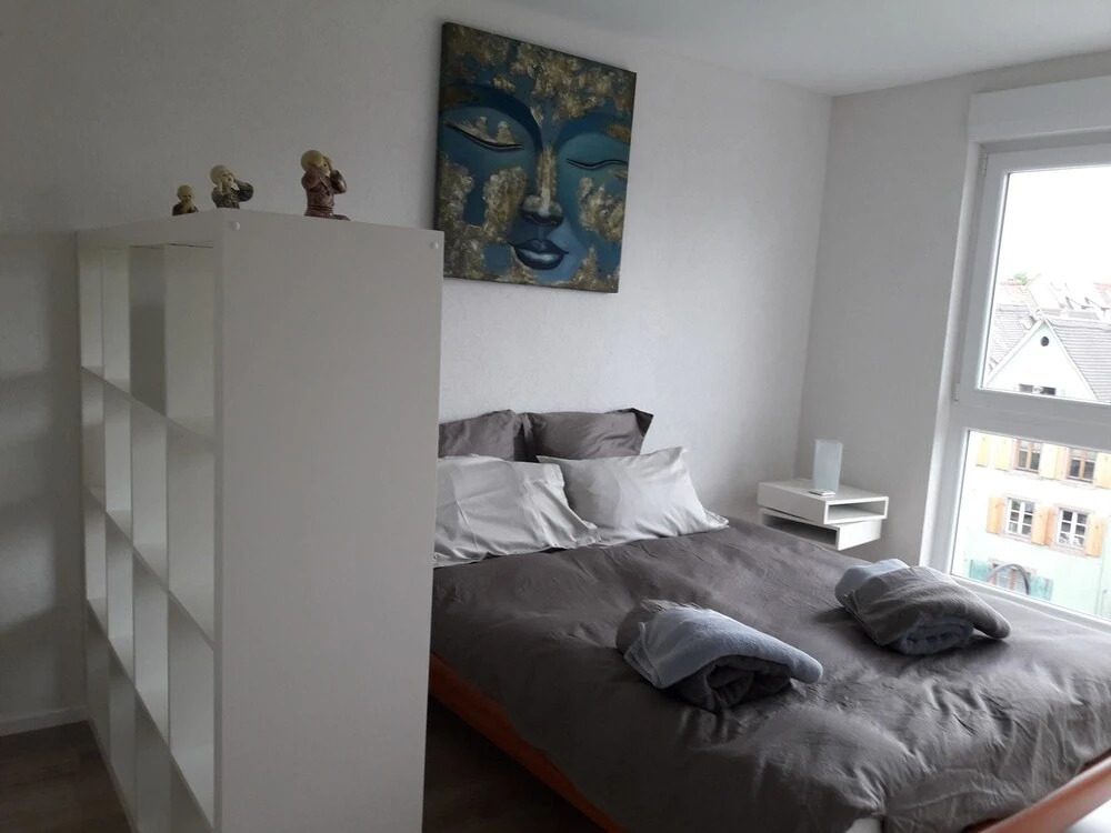 Apartment 4 With 2 Bedrooms in Colmar, With Wonderful City View, Balco