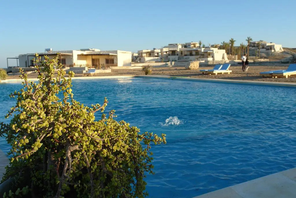 The Oasis