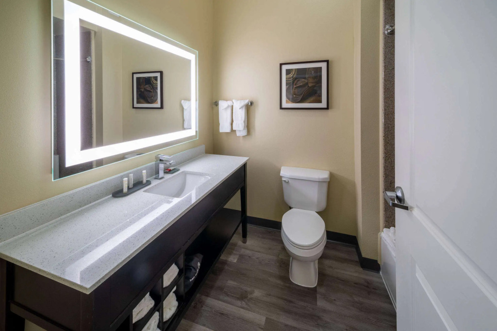 La Quinta by Wyndham Houston New Caney