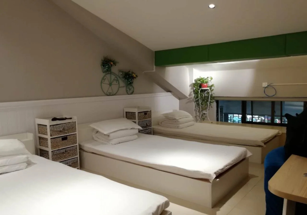 Zerg Backpackers Youth Hostel