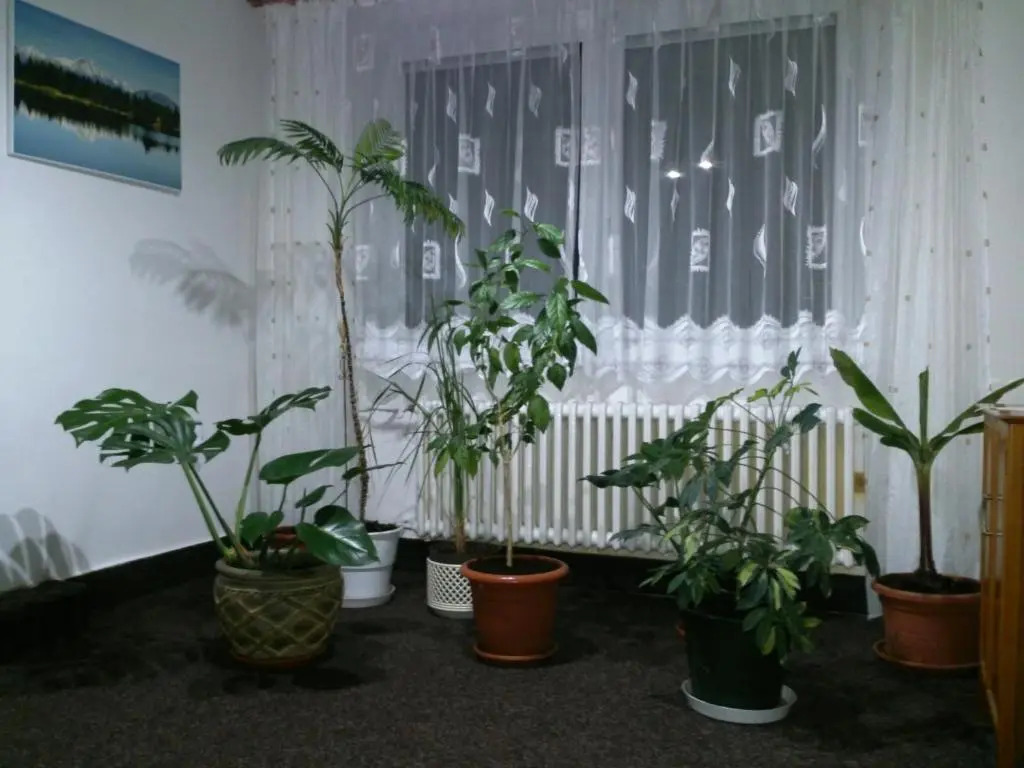 Sunnystreet Guesthouse