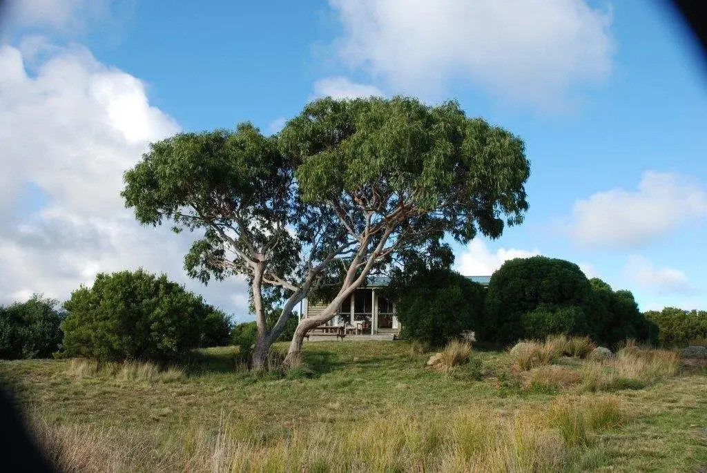 Shearwater Cottages