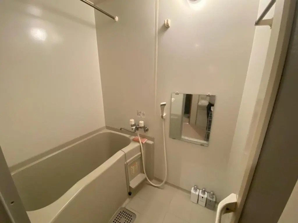 Downtown area Spacious cozy room Susukino IK1003
