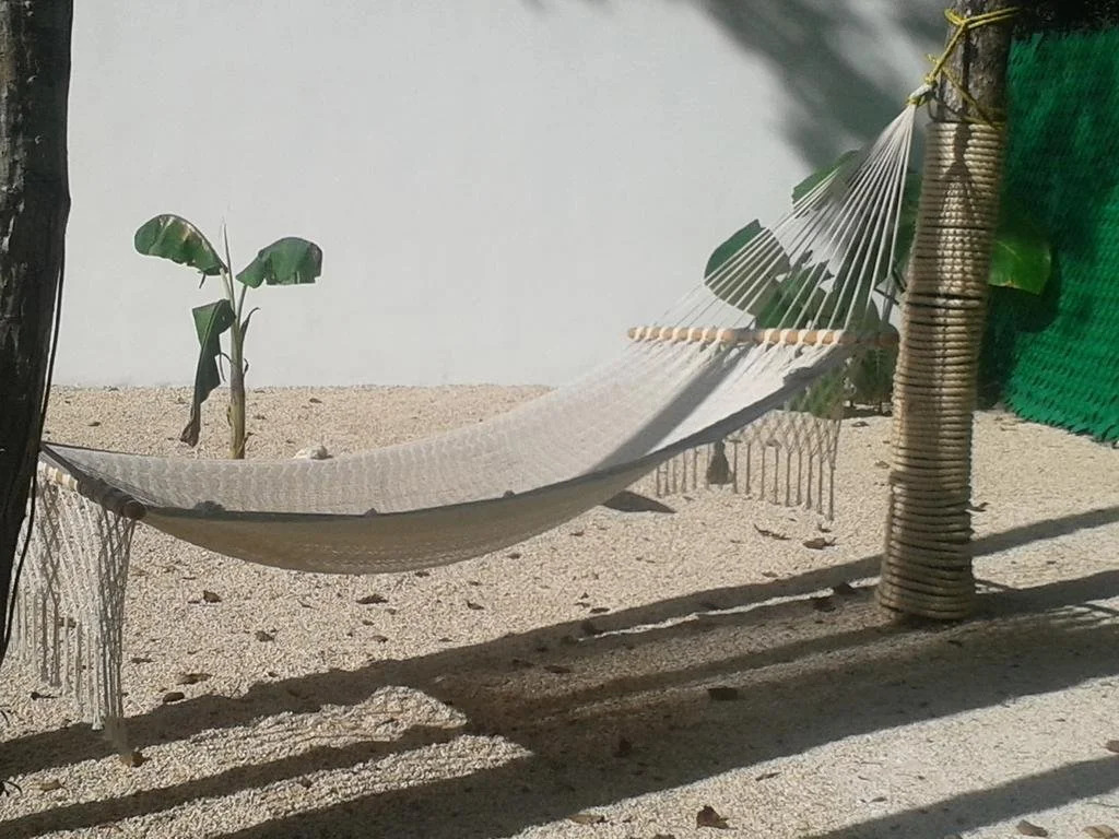 Loto Tulum