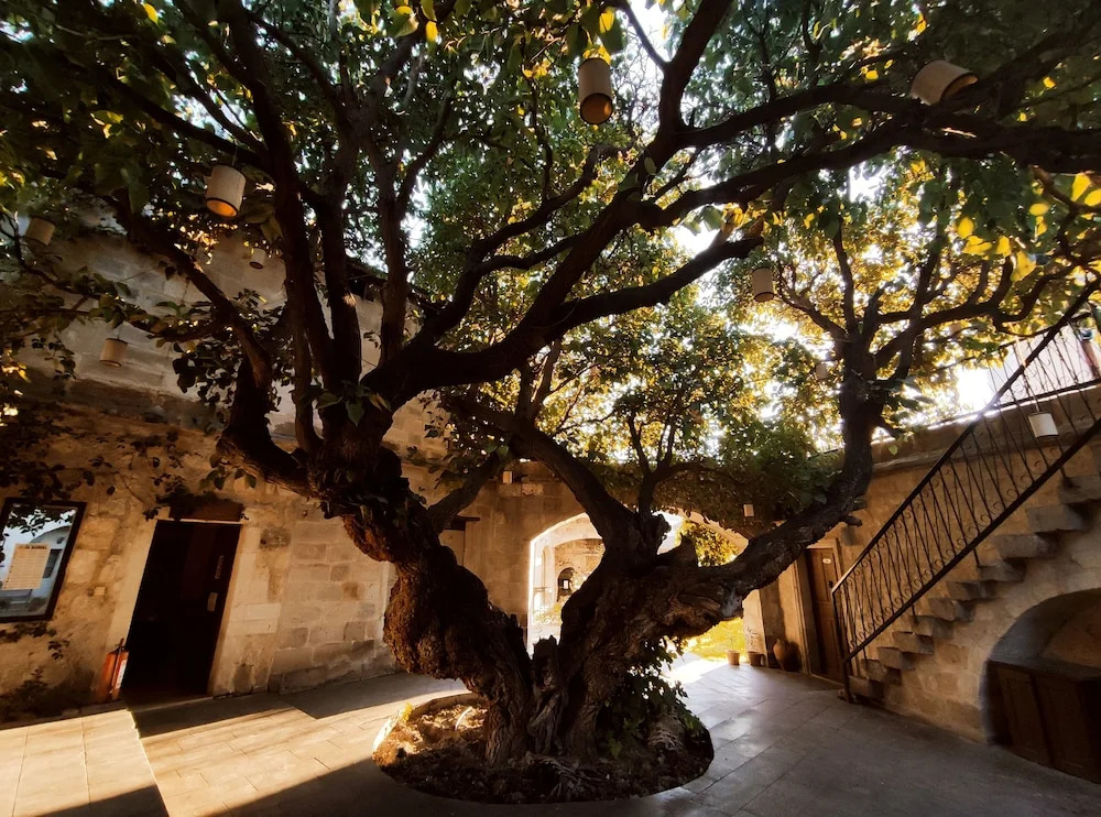 Dervish Cave House & Elegance Cave Suites