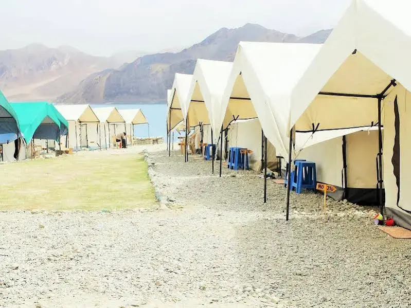 Wonderland Camps