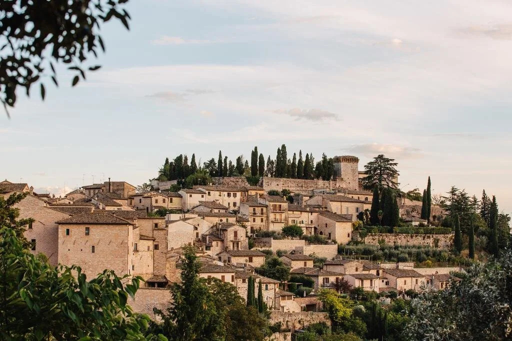 B&B Fior Fiore