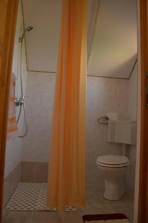 Casa Vlasea Albesti Sighișoara