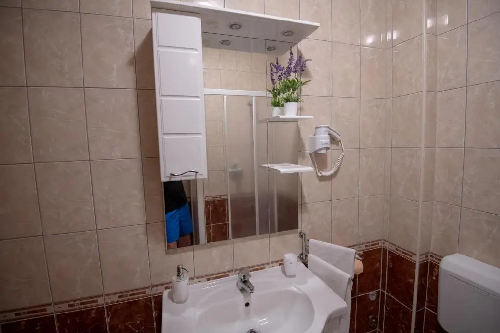 Apartments Mamut