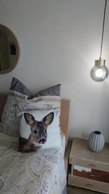 Maurers Schlierseetraum 6, Studio 455 mit 42 qm neu renoviert, Erdgeschoss mit eingezäunter Terrasse in ruhiger Lage am Kirchbichlweg 8