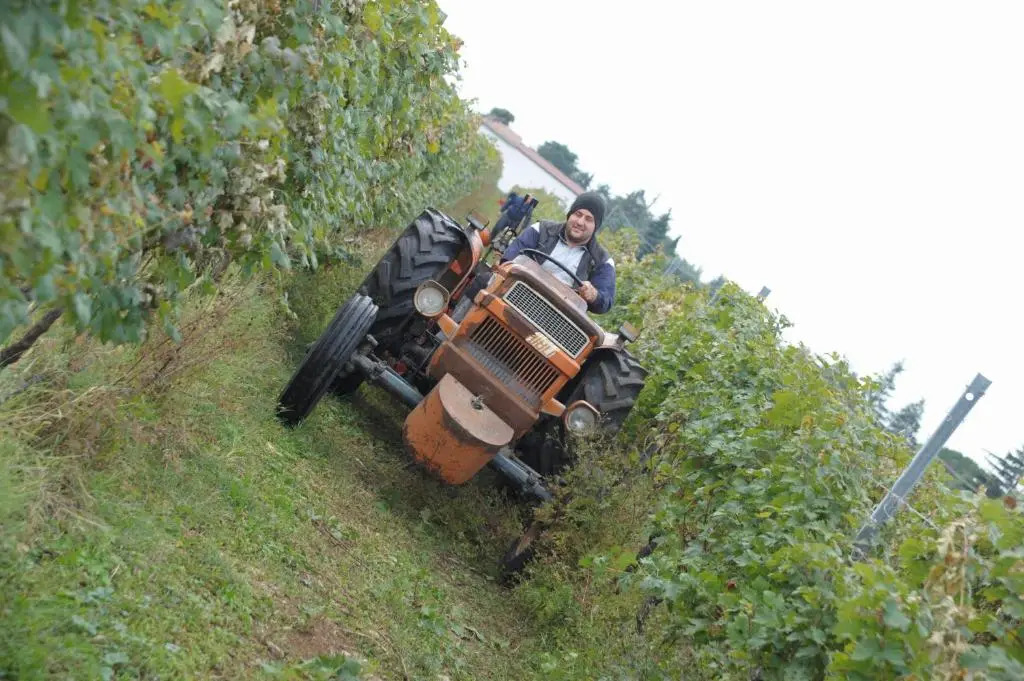 Agriturismo Sol De Montalto