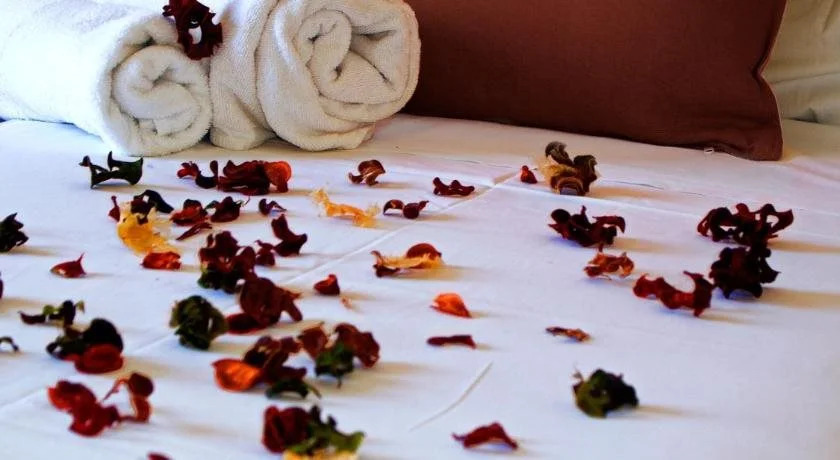 Hotel Roulis
